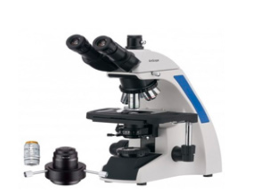 Microscopio